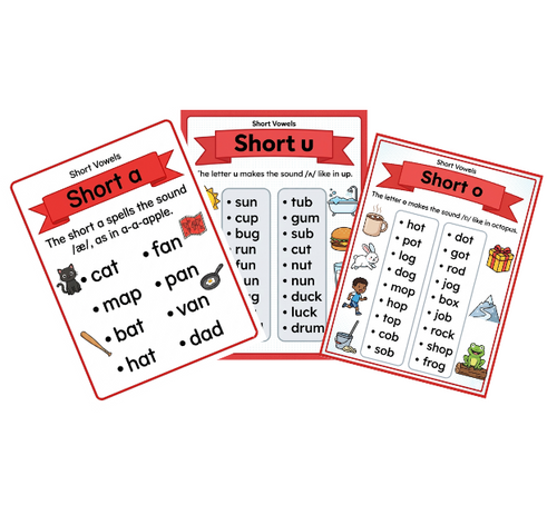 Phonics to Practice Spelling Words Phonics Anchor