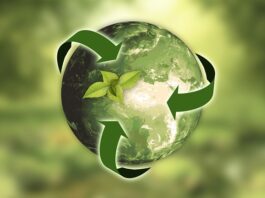 Reduire-empreinte-carbone-jardin-potager
