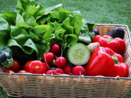 cultiver-aliments-sains-et-biologiques-jardin-potager